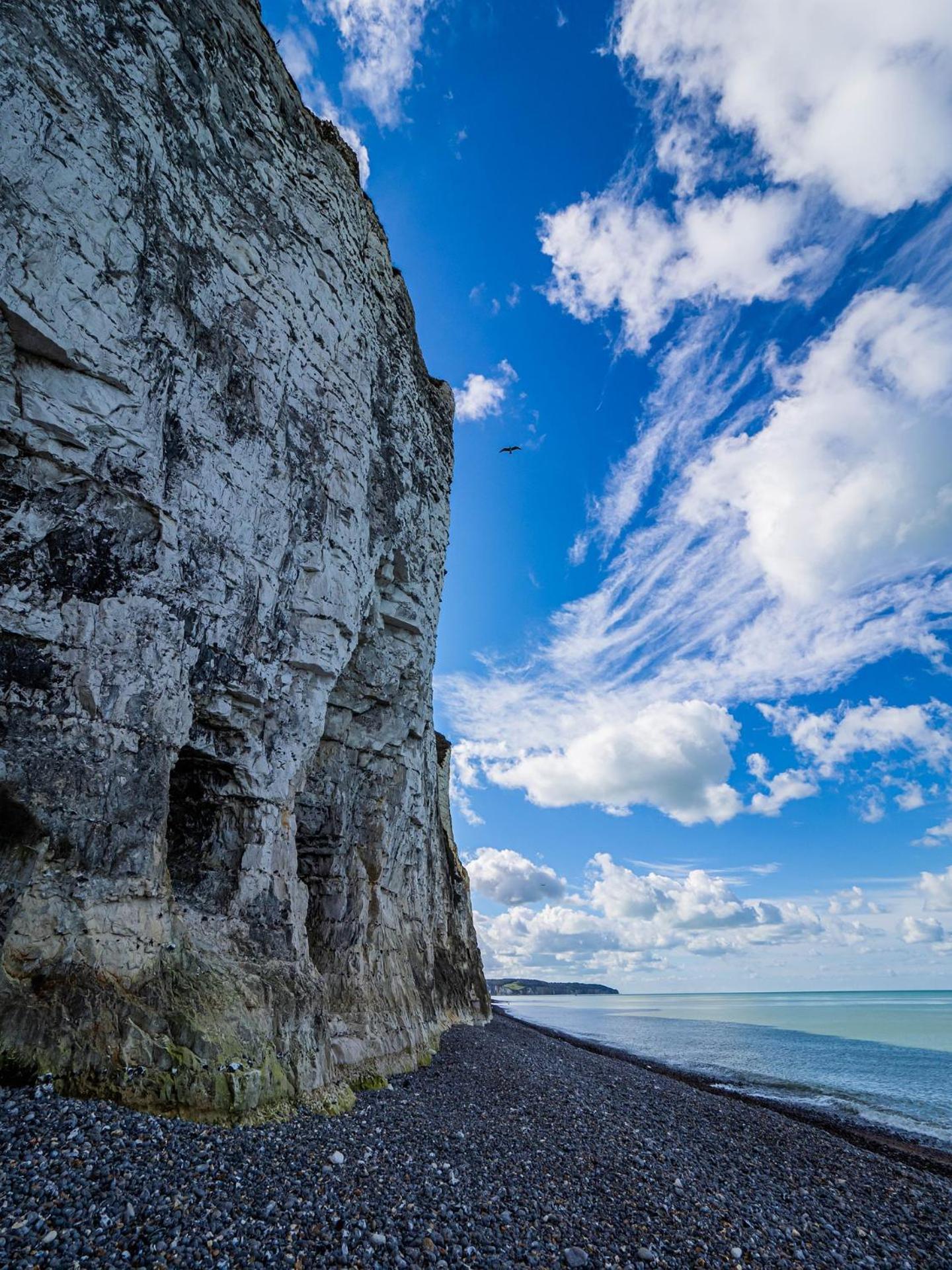 Le Voilier Ensoleille - Proximite Plage & Gare - Confort & Tranquillit Dieppe Exterior foto